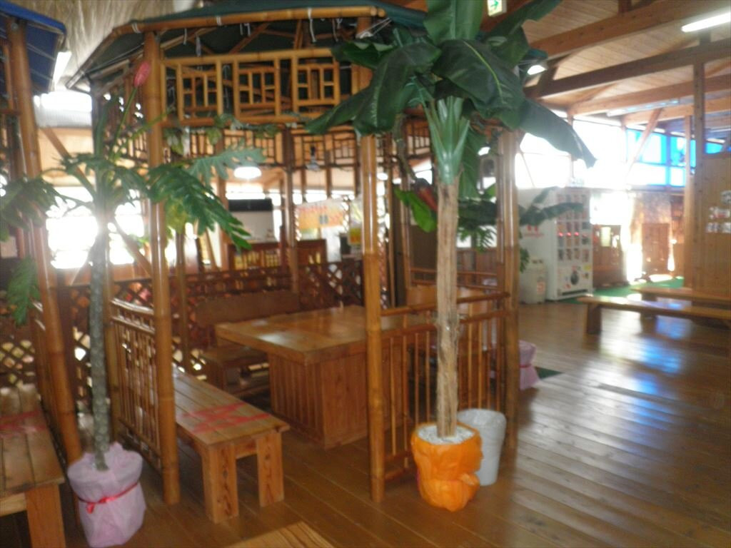 Okawa Onsen Kihada Bijin Midori no Yu-大川市必去景点