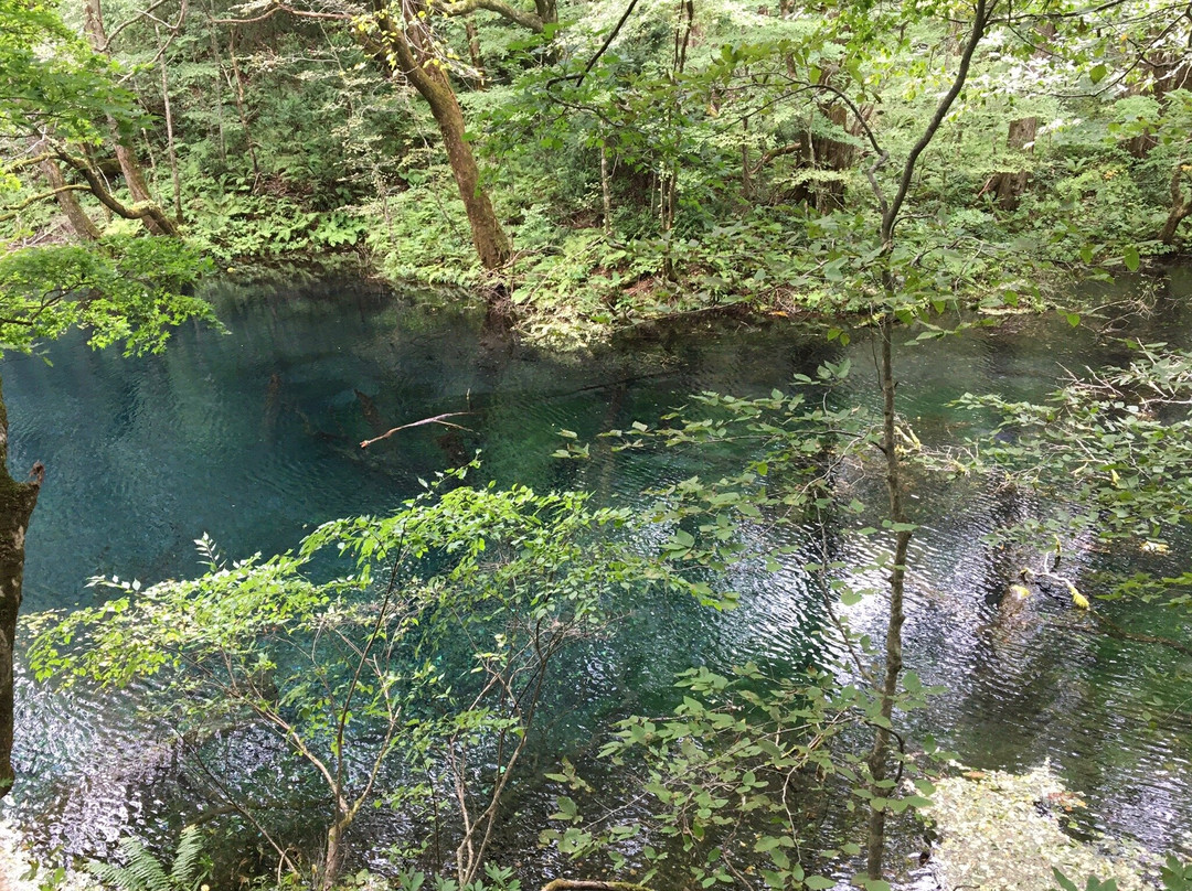 Blue Pond-深浦町必去景点