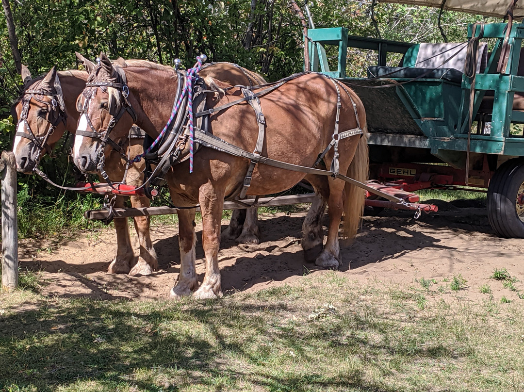 Carberry (Spirit Sands) Desert-Carberry必去景点