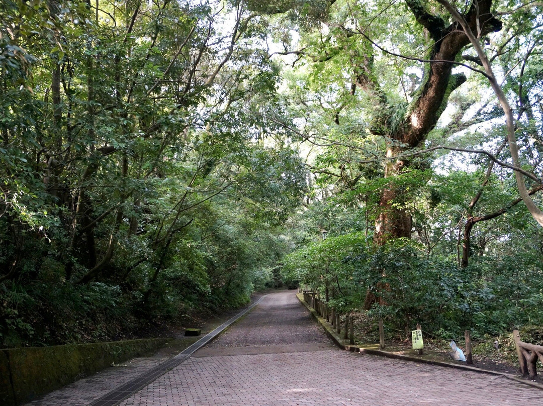 城山景点图片