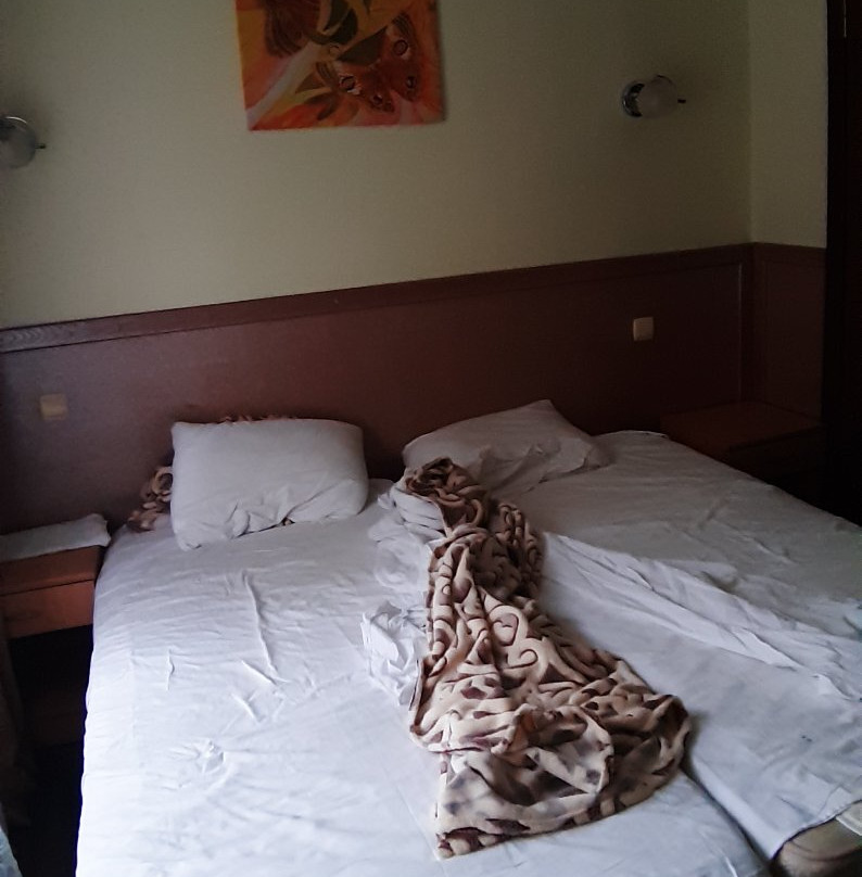 Golden Palm Hotel主图