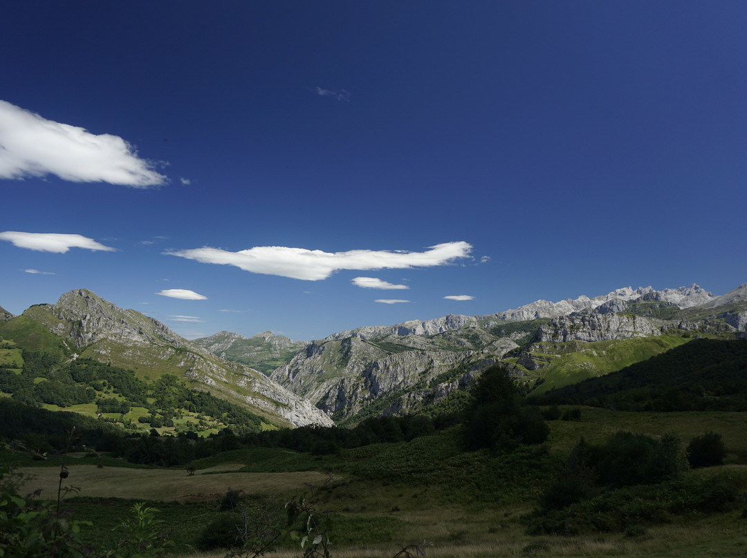 Parque Natural de Ponga景点图片