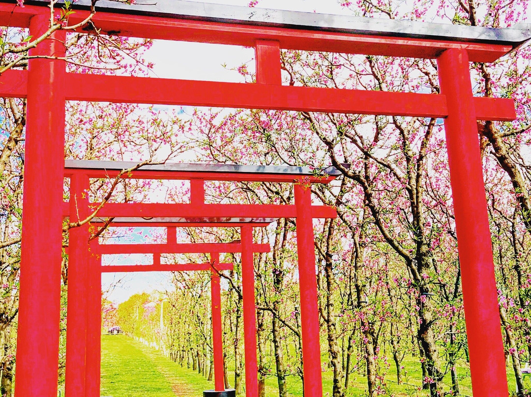S&R Orchard Perth景点图片