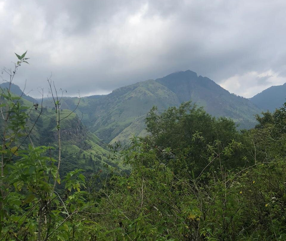 Sennya Resorts主图