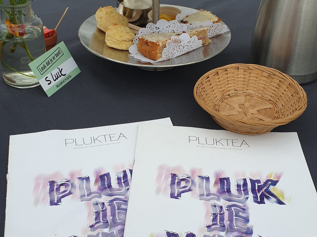 Pluktea