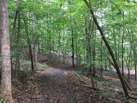 Settles Bridge Park-苏万尼必去景点