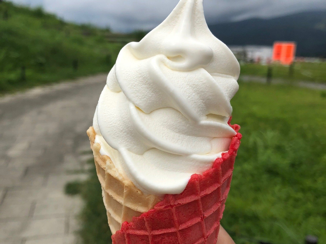 Hiruganokogen Service Area Outbound-郡上市必去景点