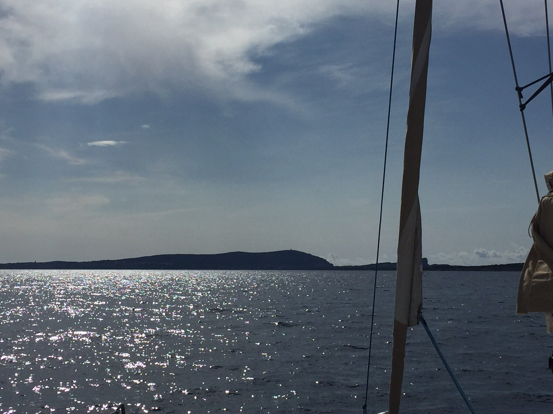 Asinara Catamaran Charter-撒丁岛必去景点