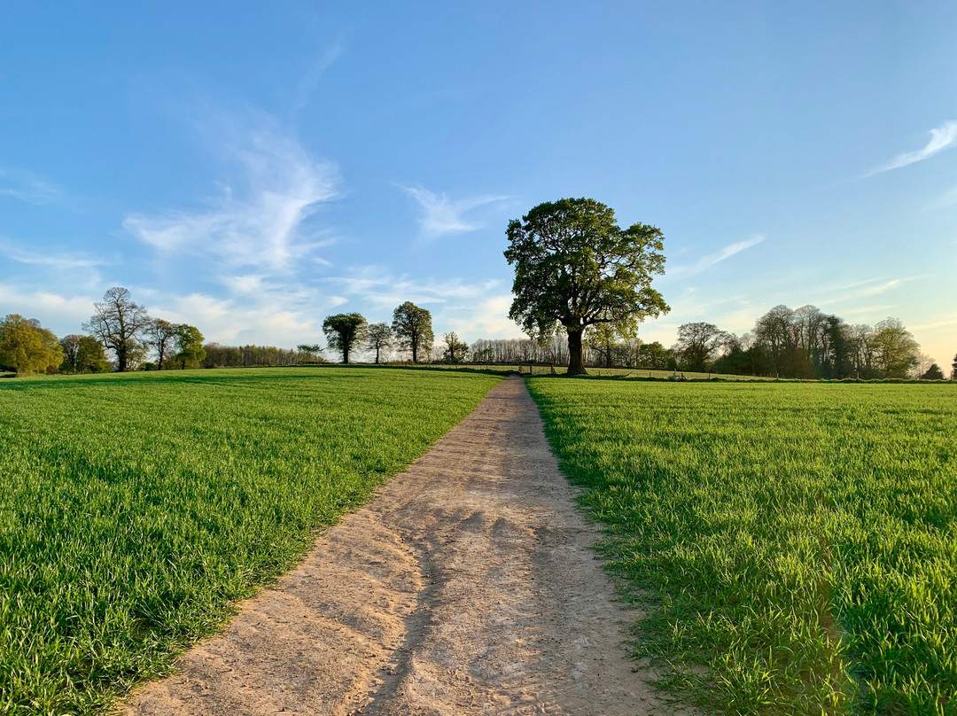 Surrey Hills Cycle Hire景点图片