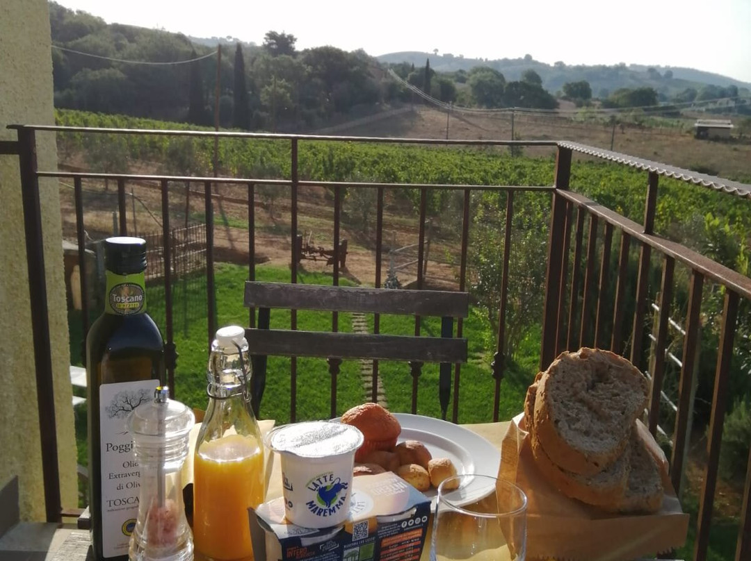 Poggiolivi Agriturismo Bio In Maremma主图