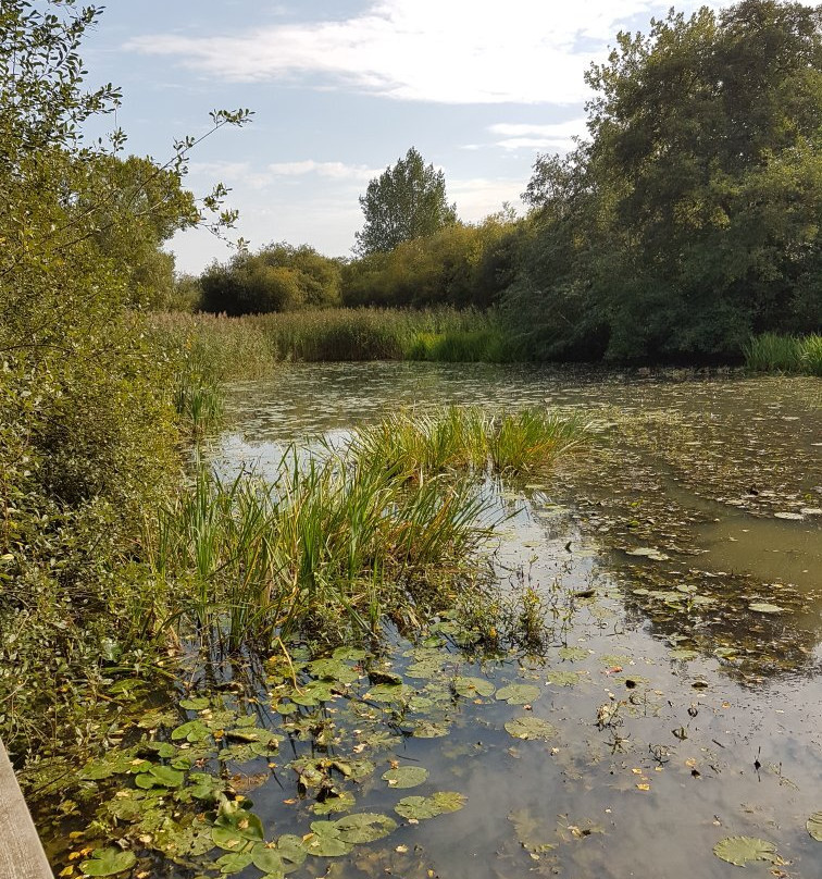 Woods Mill Nature Reserve景点图片