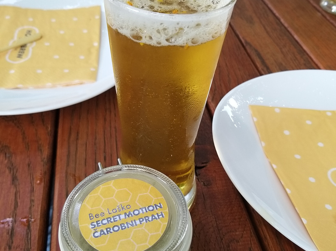HoneyBrew Lasko Tour-Lasko必去景点