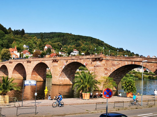 Wohlfuhl-Hotel Neu Heidelberg主图