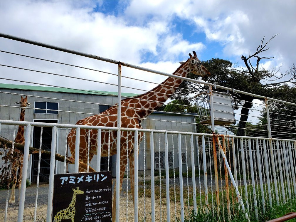 Kujukushima Zoological and Botanical Garden Morikirara-佐世保市必去景点
