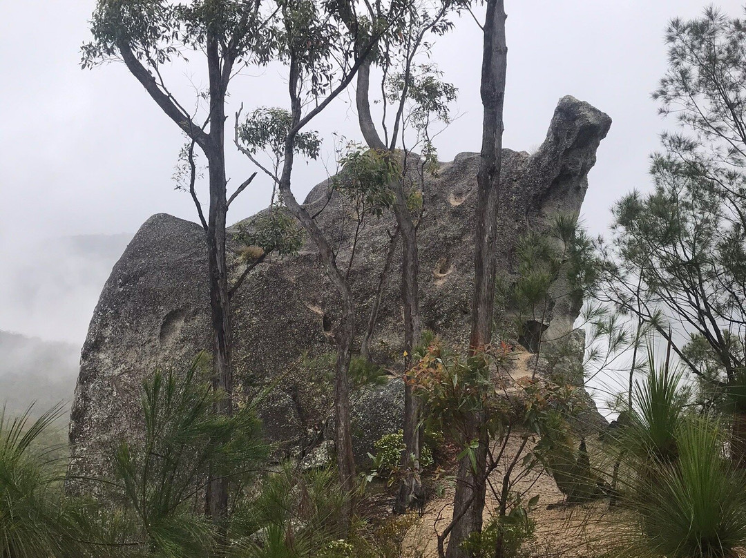 Davies Creek National Park-马里巴必去景点