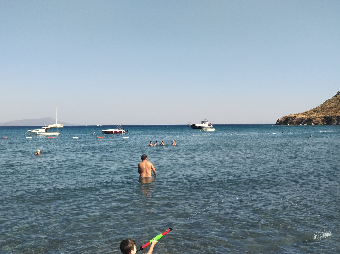 Karaincir Halk Plajı景点图片