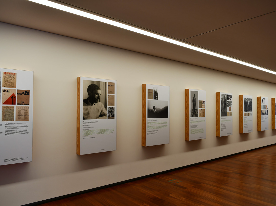 Espaço Miguel Torga景点图片