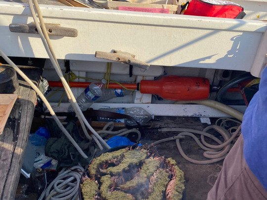 Balades iodées-康卡勒必去景点