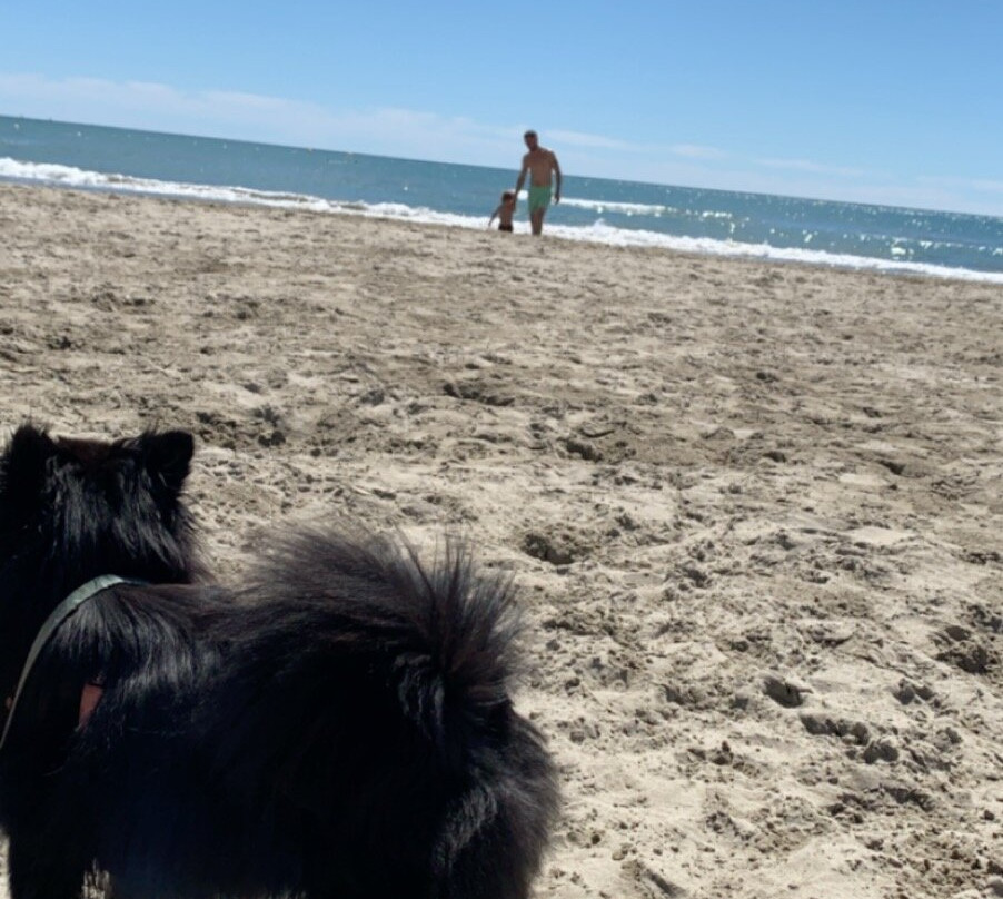 Plage du Grand Travers景点图片