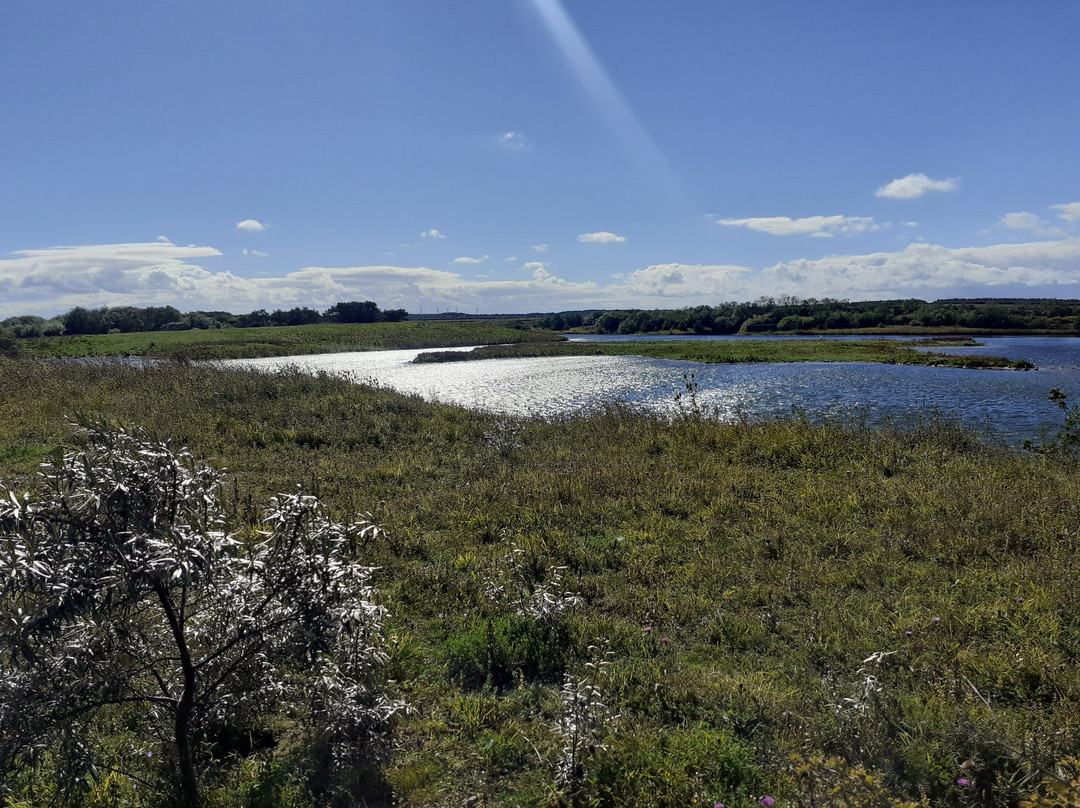 Hauxley Wildlife Discovery Centre-Amble必去景点