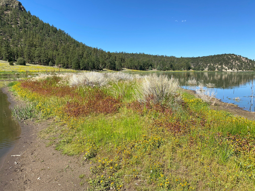 Quemado Lake景点图片