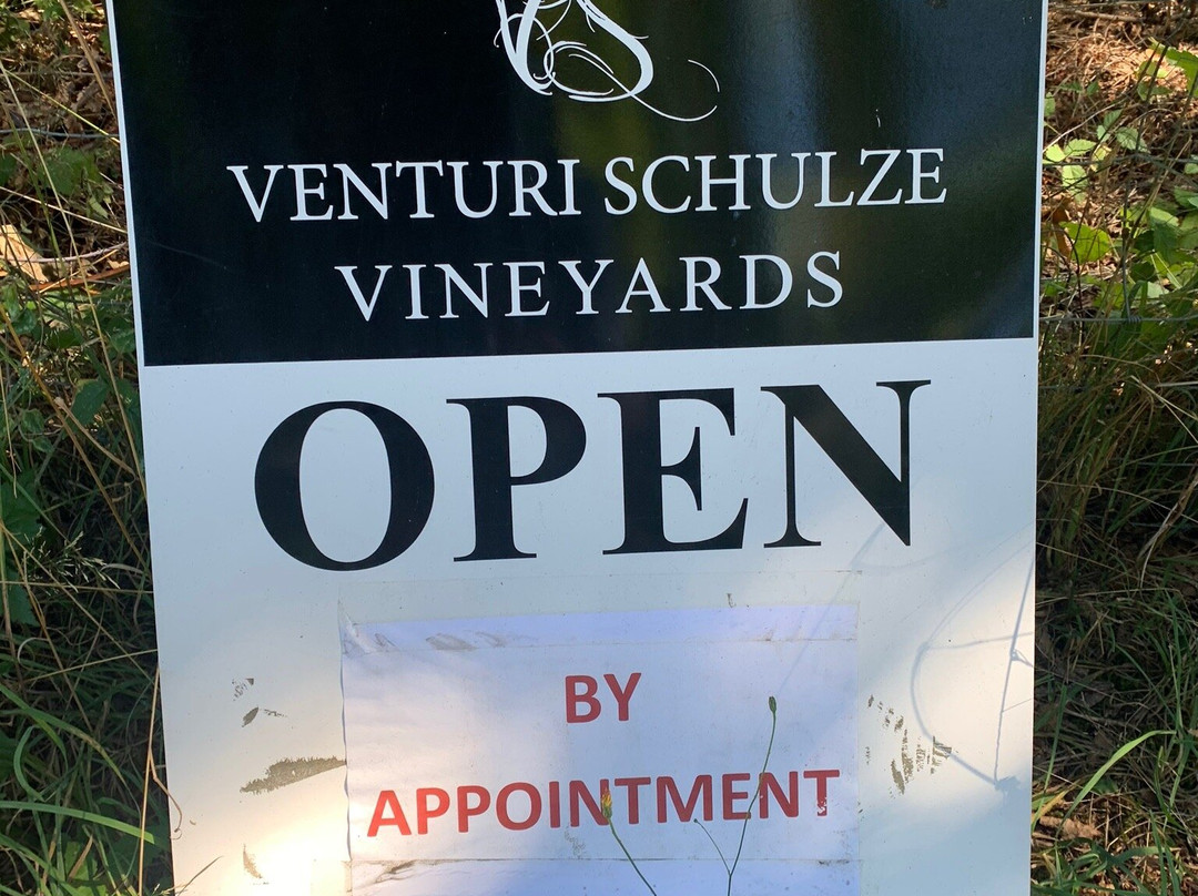 Venturi-Schulze Vineyards景点图片