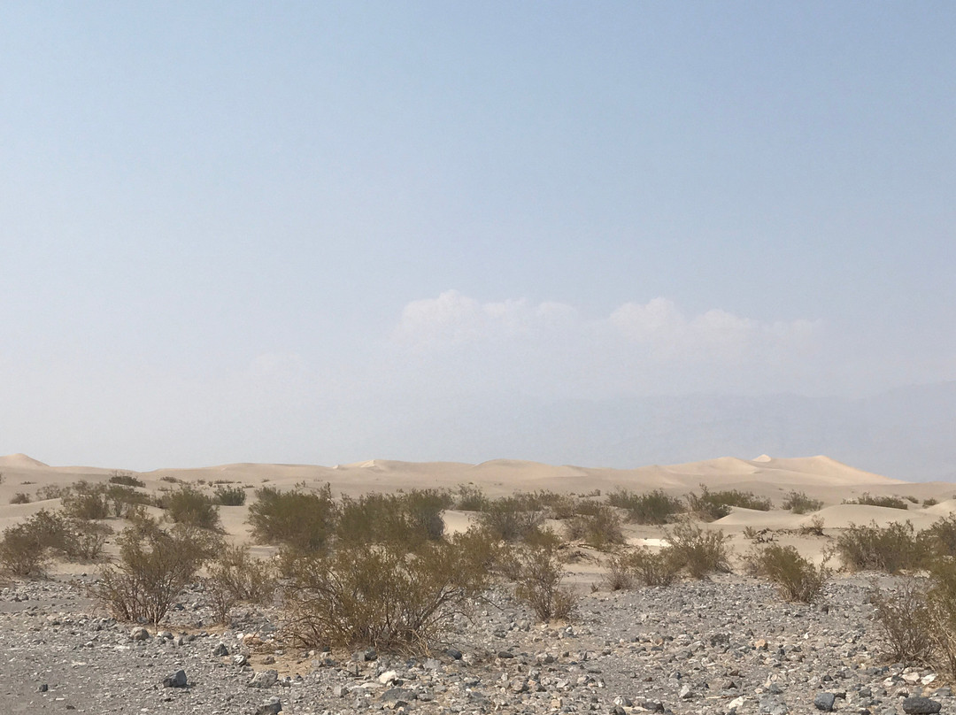 Mesquite Flat Sand Dunes景点图片