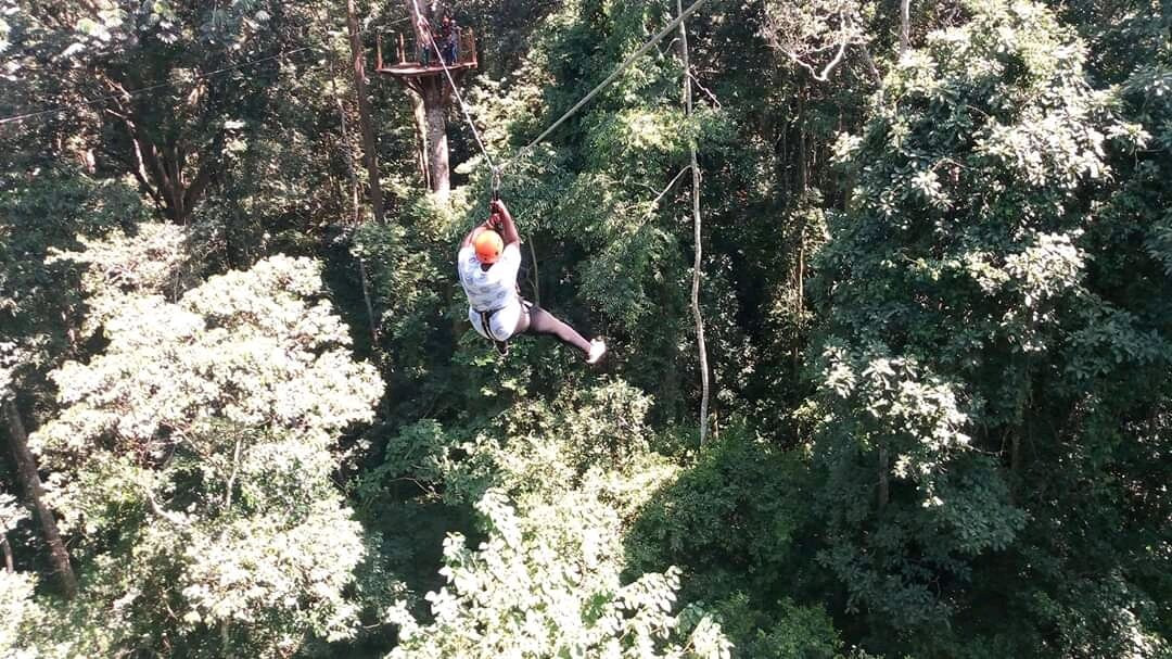 Eastern Region旅游景点-Mabira Central Forest Reserve
