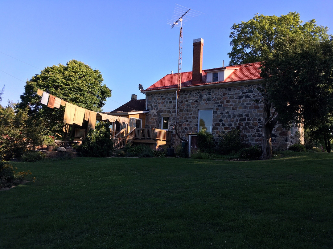 Koch Haus Bed and Breakfast主图