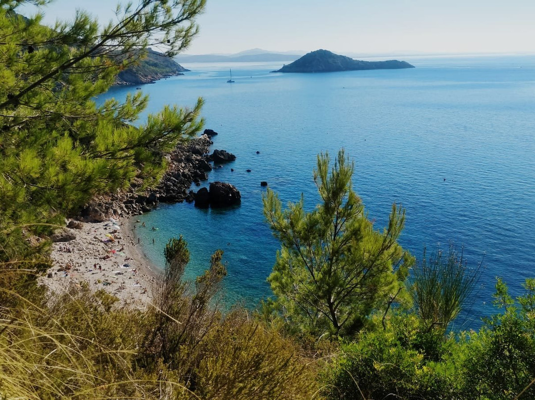 Hotel Cala di Forno主图