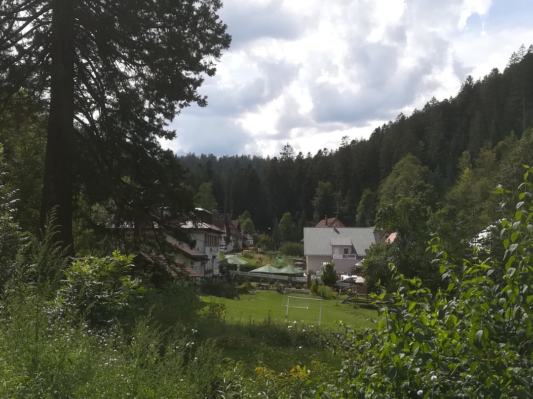 Hotel Gut Lauterbad主图