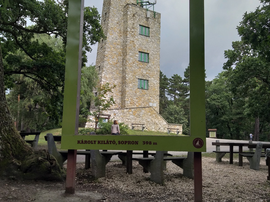 Lookout Tower Karoly景点图片