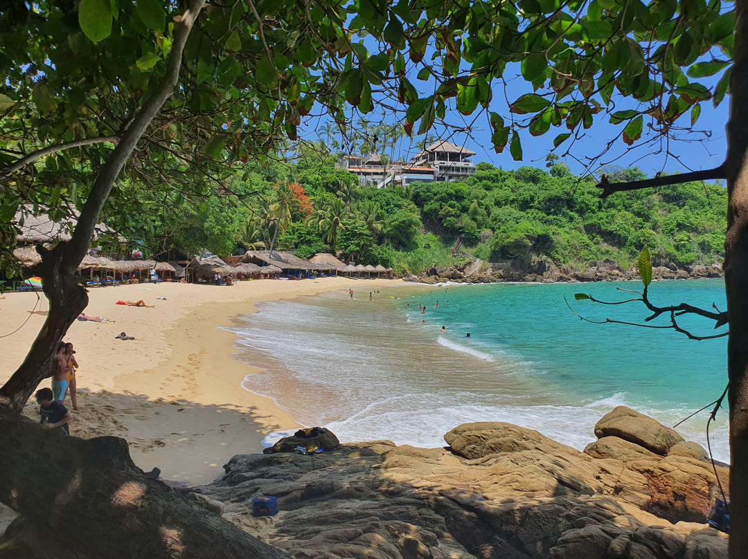 Robert's Ecotours-埃斯孔迪多港必去景点