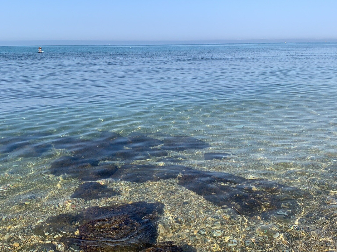 Nuova Pineta Pinetina-罗马必去景点