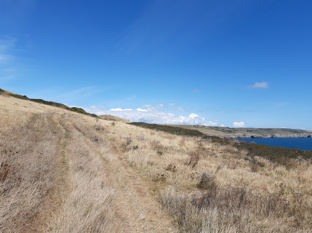 St Aldhelms Head - South West Coast Path walk景点图片