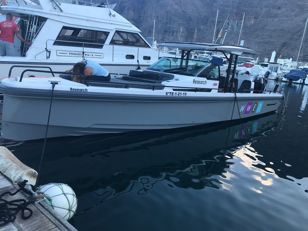 Whale Wise Eco Tours景点图片