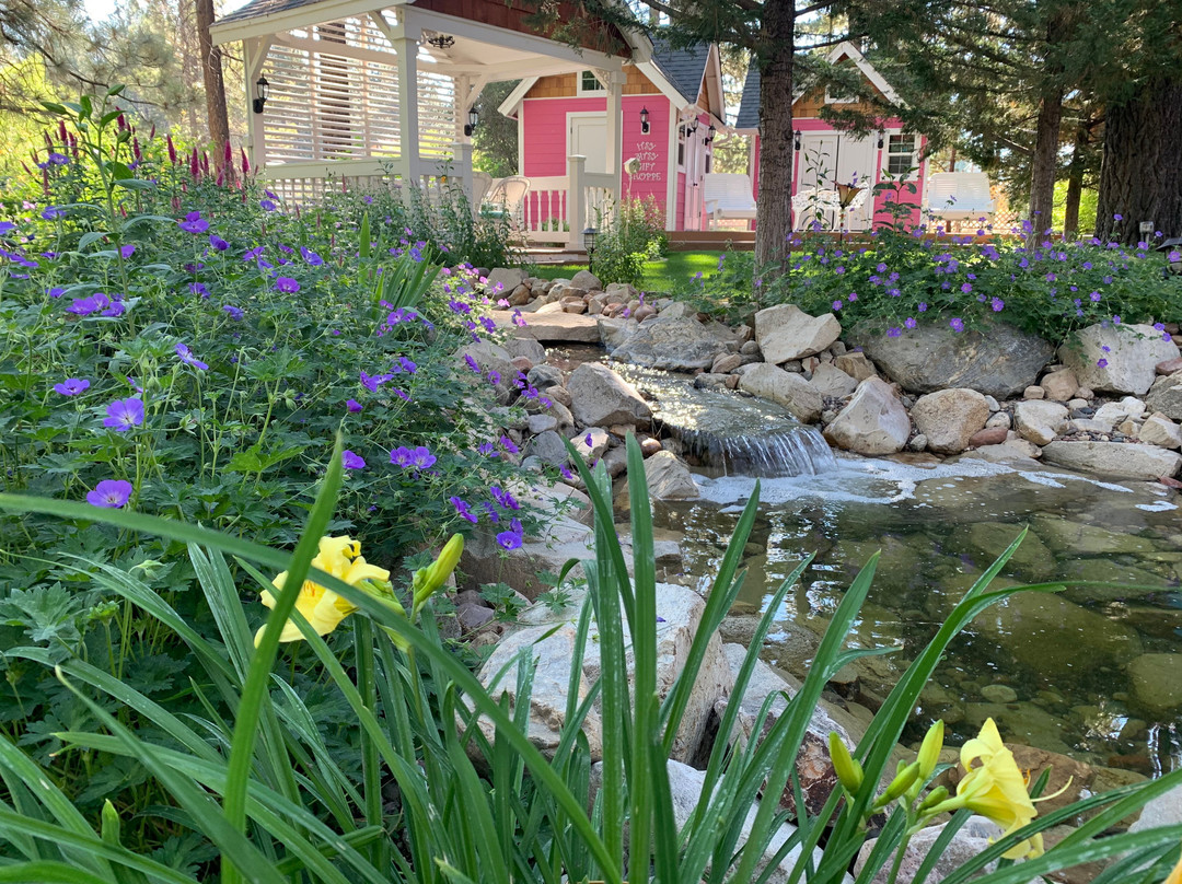 Apples Bed and Breakfast Inn主图