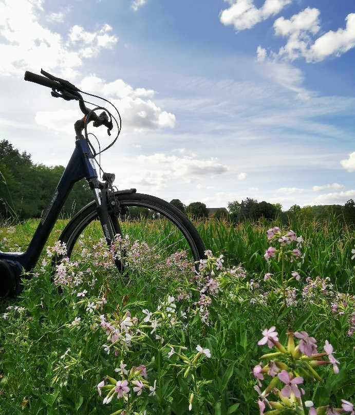 Liberty Cycle SARLAT-LA-CANEDA景点图片