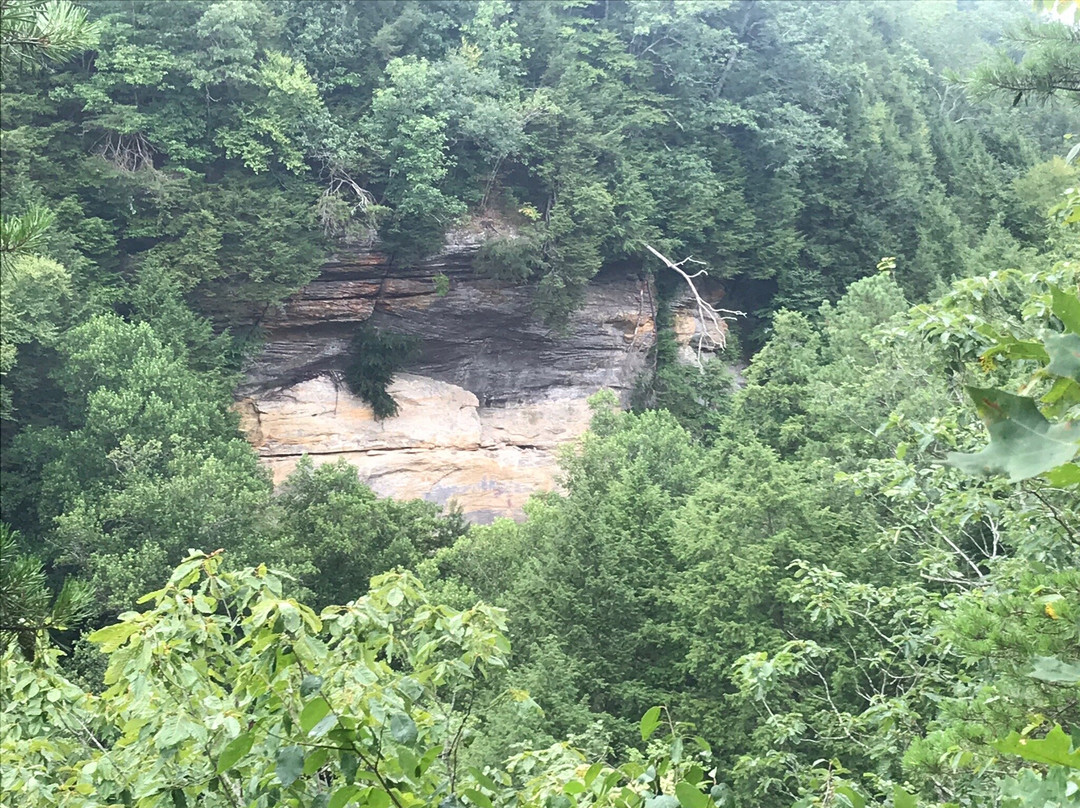 Conkles Hollow State Nature Preserve-Rockbridge必去景点
