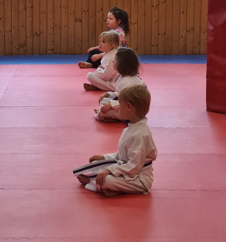 Family Martial Arts Centres景点图片