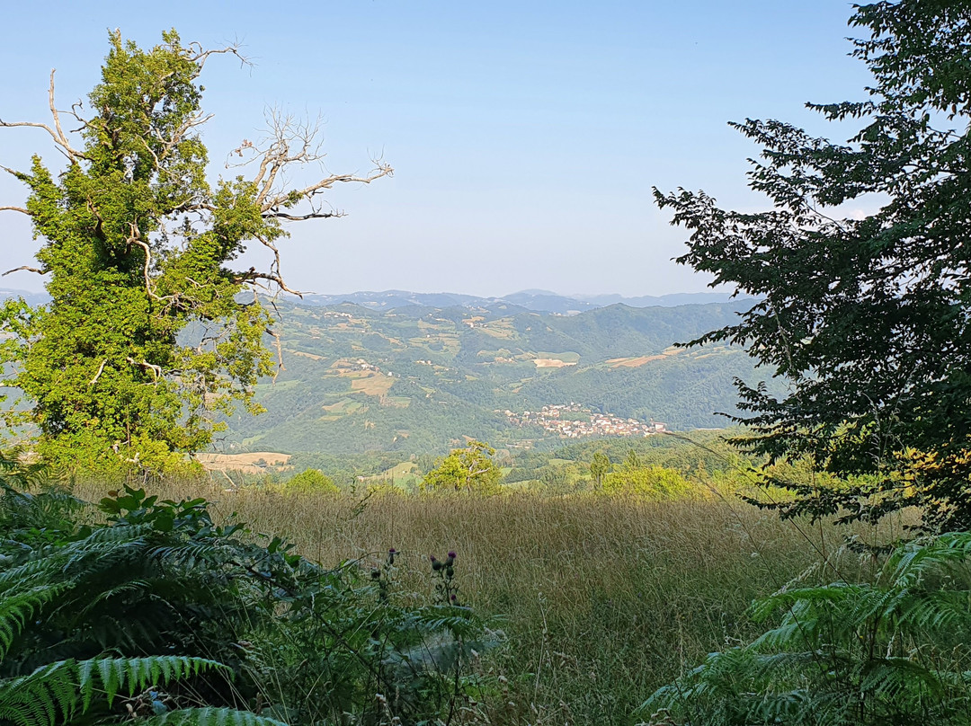 Parco Provinciale Monte Fuso景点图片