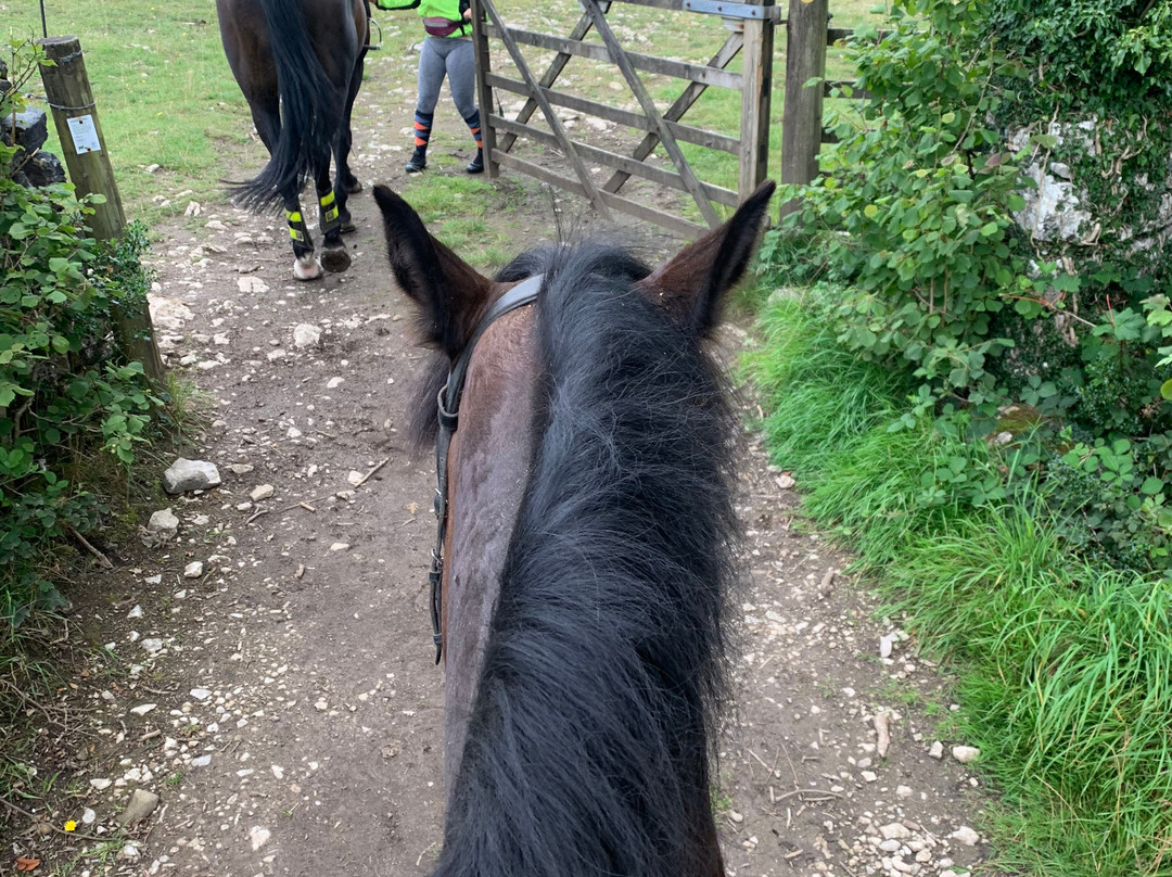 Witherslack Hall Equestrian Centre景点图片