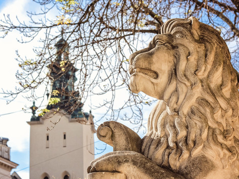 Lviv Guided-利沃夫必去景点