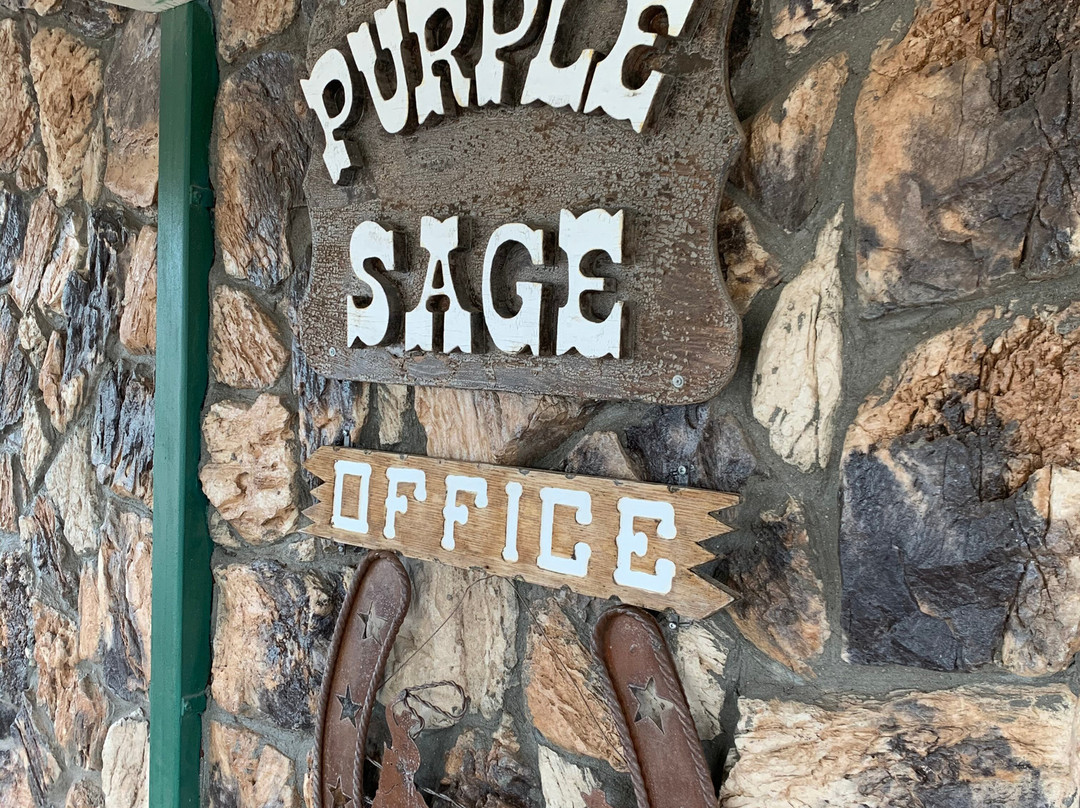 Purple Sage By Oyo Snyder Tx主图