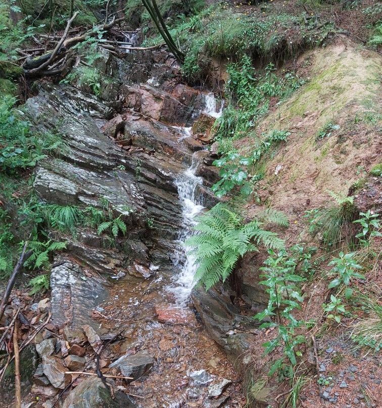 Parc Naturel des Hautes Fagnes景点图片