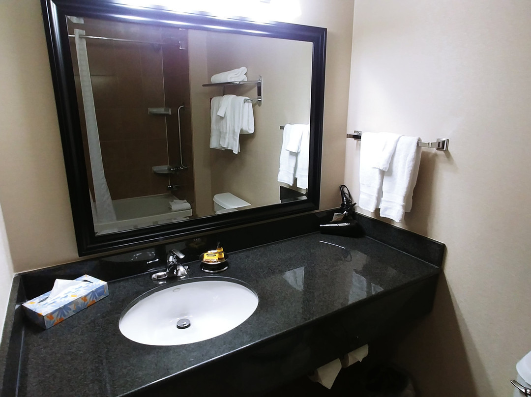 马斯科卡贝斯维斯特酒店主图