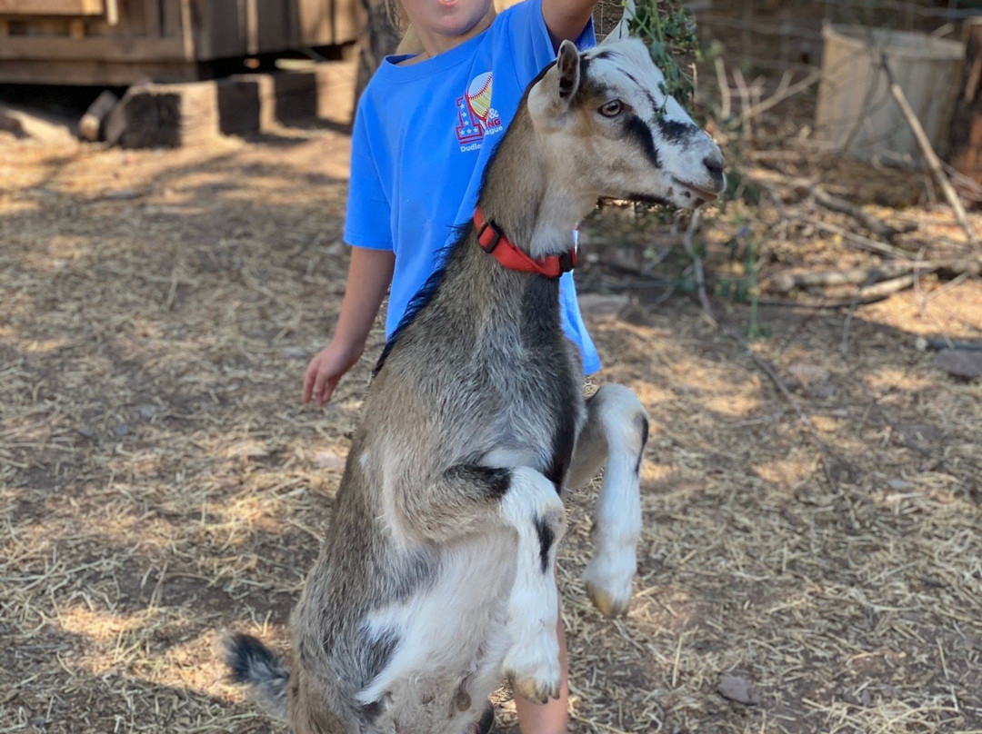 James Ranch-杜兰戈必去景点