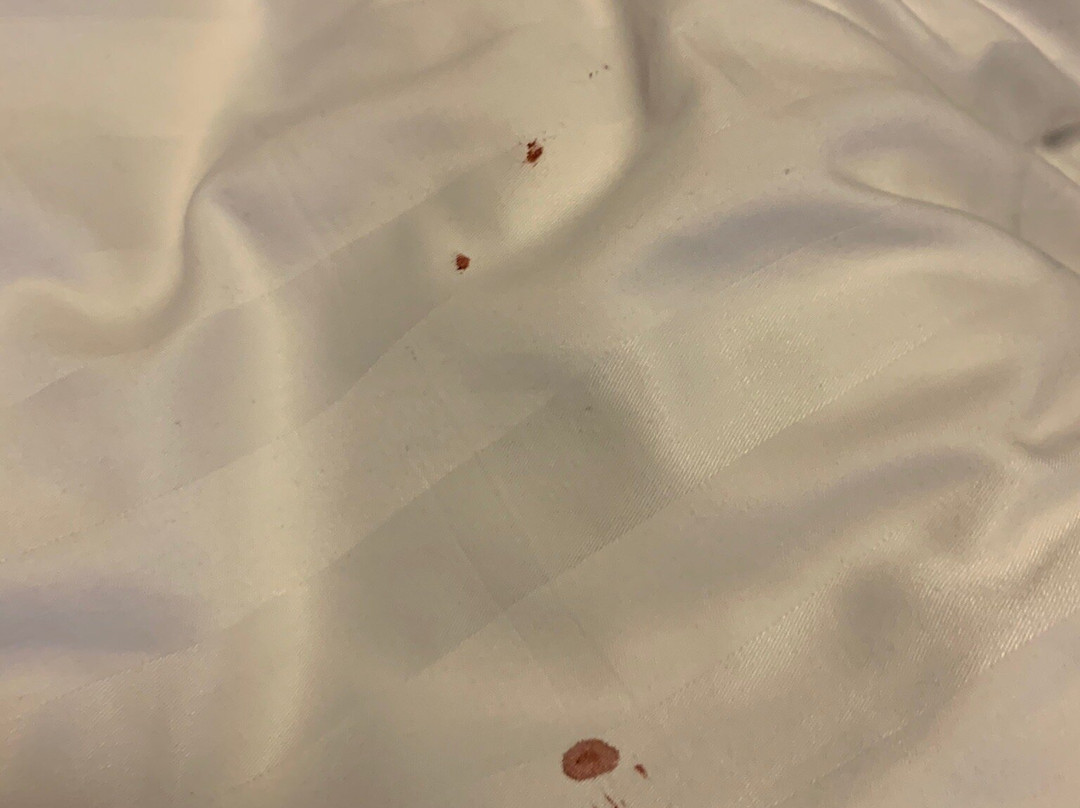 City Central Hotel Örebro主图