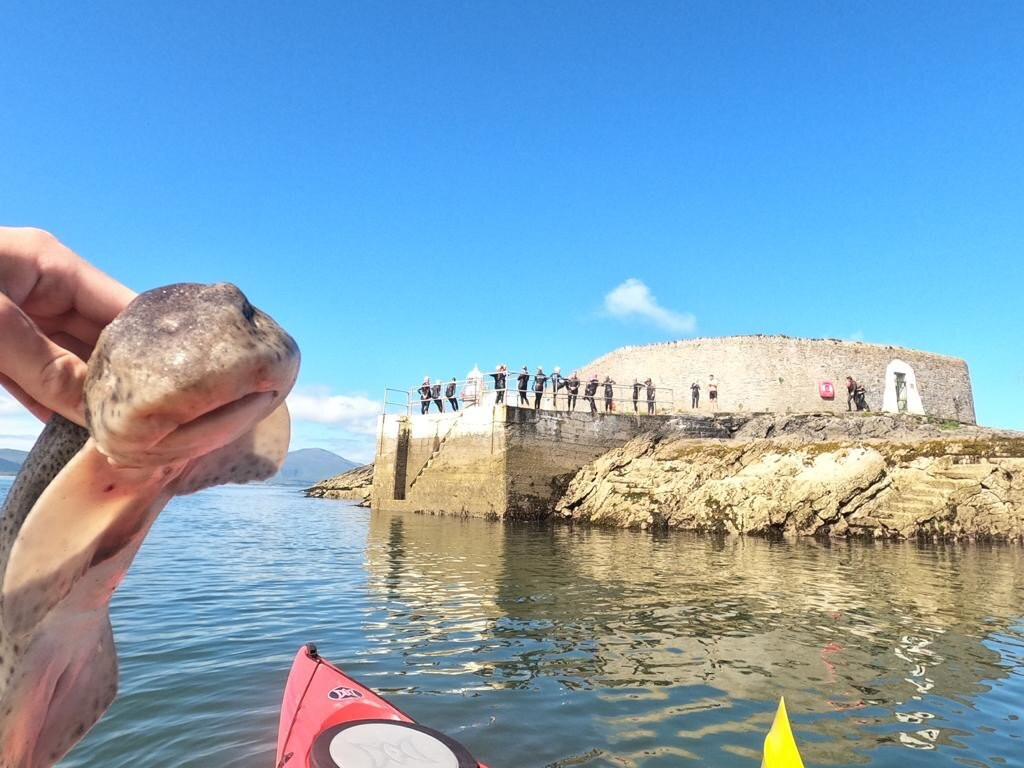 Wild Water Adventures景点图片