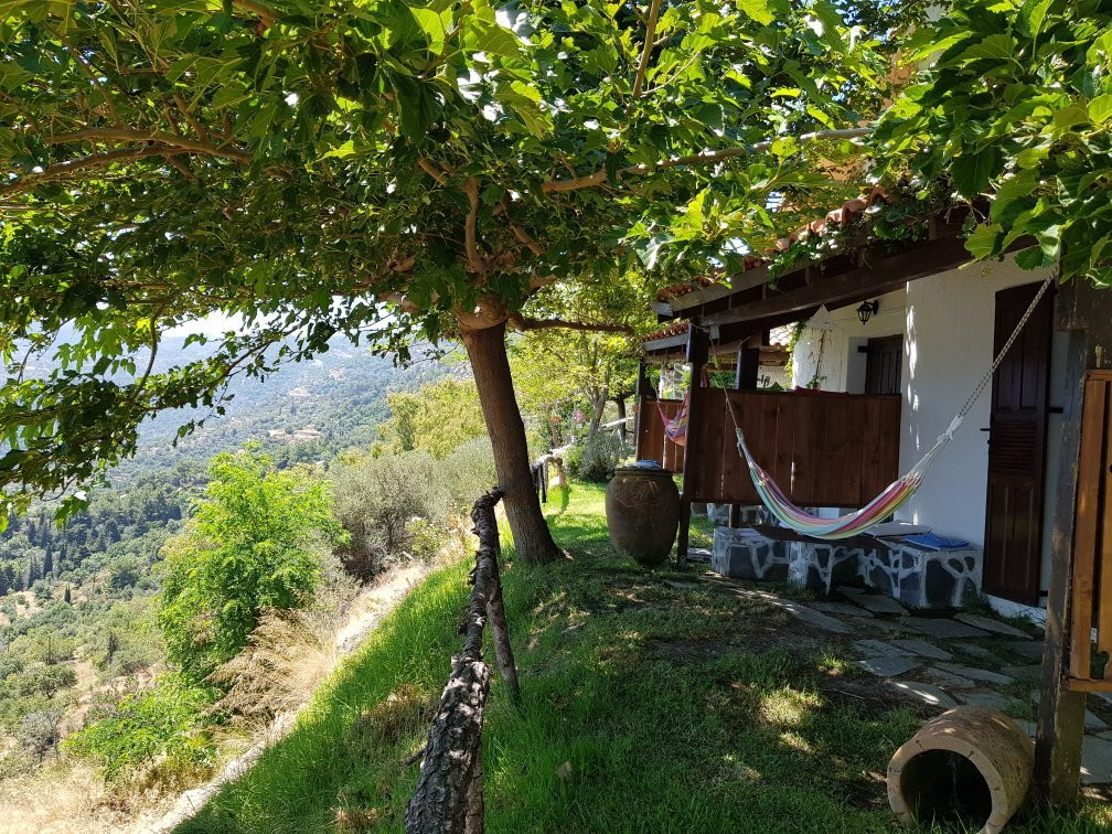 Balconi Studios主图